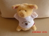 cimg0557