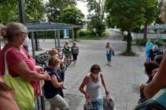 IMG-20210621-WA0004