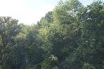 dsc07258