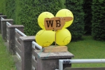 grill-wb-2015-1